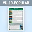 Стенд «Допризывная подготовка граждан» (VU-10-POPULAR)